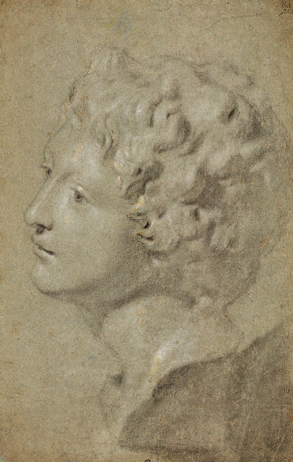 Michaelina Wautier, Studie einer Büste des Ganymed Medici © Privatsammlung Foto: Antwerpen Michaelina Wautier, Studie einer Büste des Ganymed Medici © Privatsammlung Foto: Antwerpen