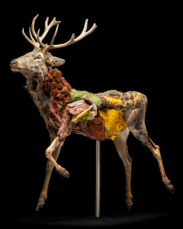 Johannes Rass Cervus Elaphus III, 2023 © Johannes Rass/Bildrecht Wien Foto: Roland Zygmunt